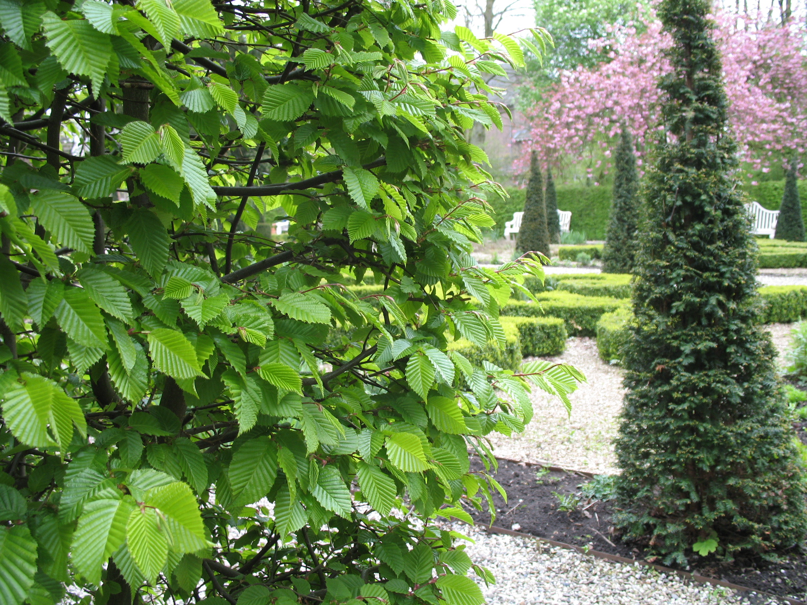 River of Herbs Van Amsterdamse Bodem