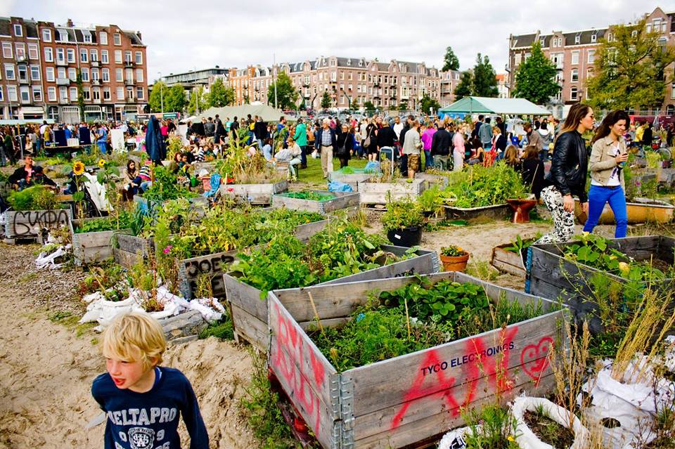 Moestuin workshop