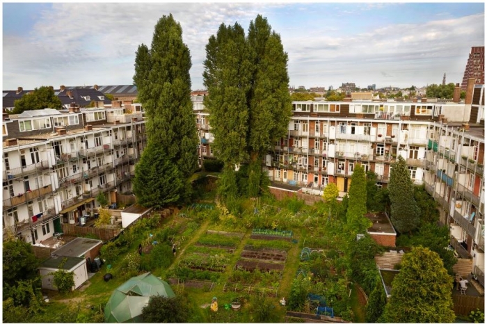 Meewerkdag in ecologische tuin AmsterdamWest Van Amsterdamse Bodem